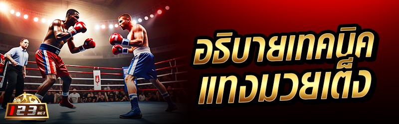 อธิบายเทคนิคแทงมวยเต็ง