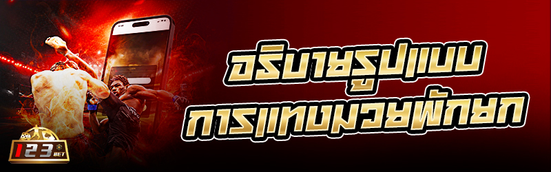 อธิบายรูปแบบการ แทงมวย พักยก