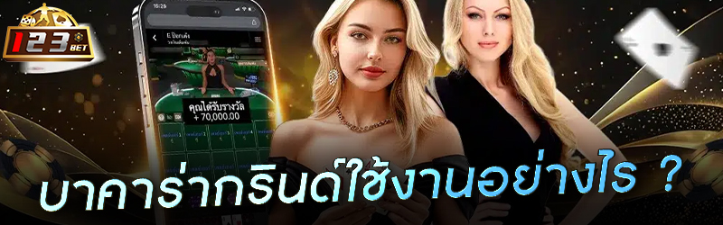 บาคาร่ากรินด์ใช้งานอย่างไร ?